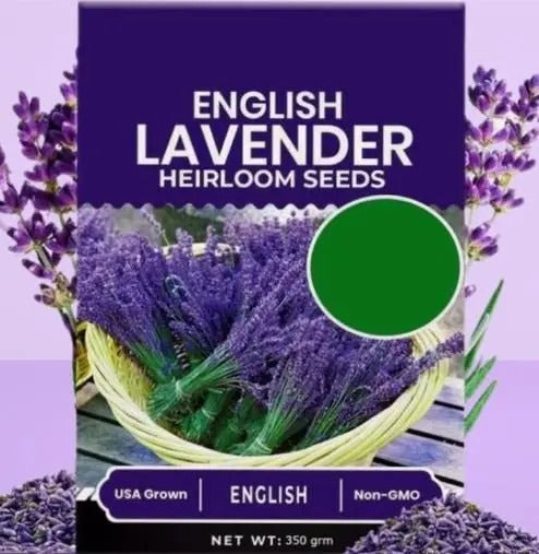 Lavender Seeds for Planting home