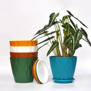 Galleyway Multicolor Flower Pots (Pack of 5)