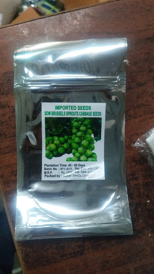Cabbage organic brussels sprouts seeds