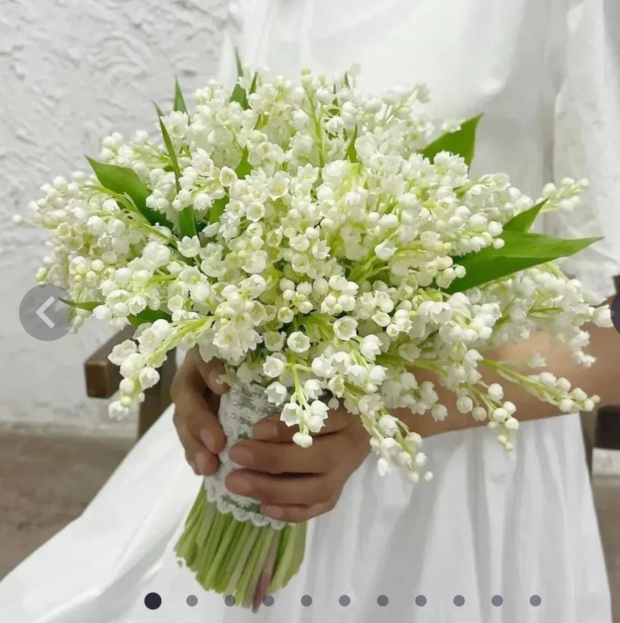 Lily of the valley flowers Seeds